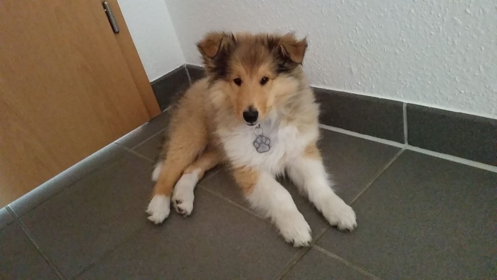 Elena mit ca. 13 Wochen