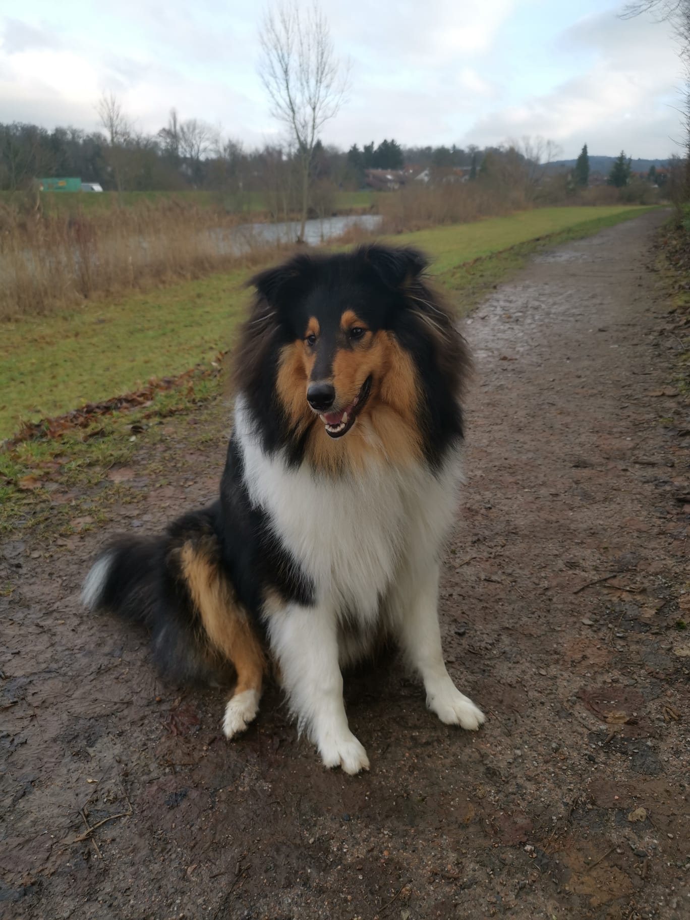 Elliot mit ca. 10 Monaten