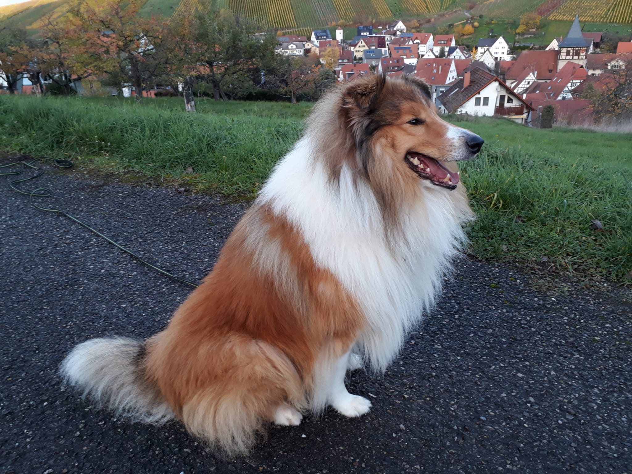 Dean Jensen mit 5 Jahren 