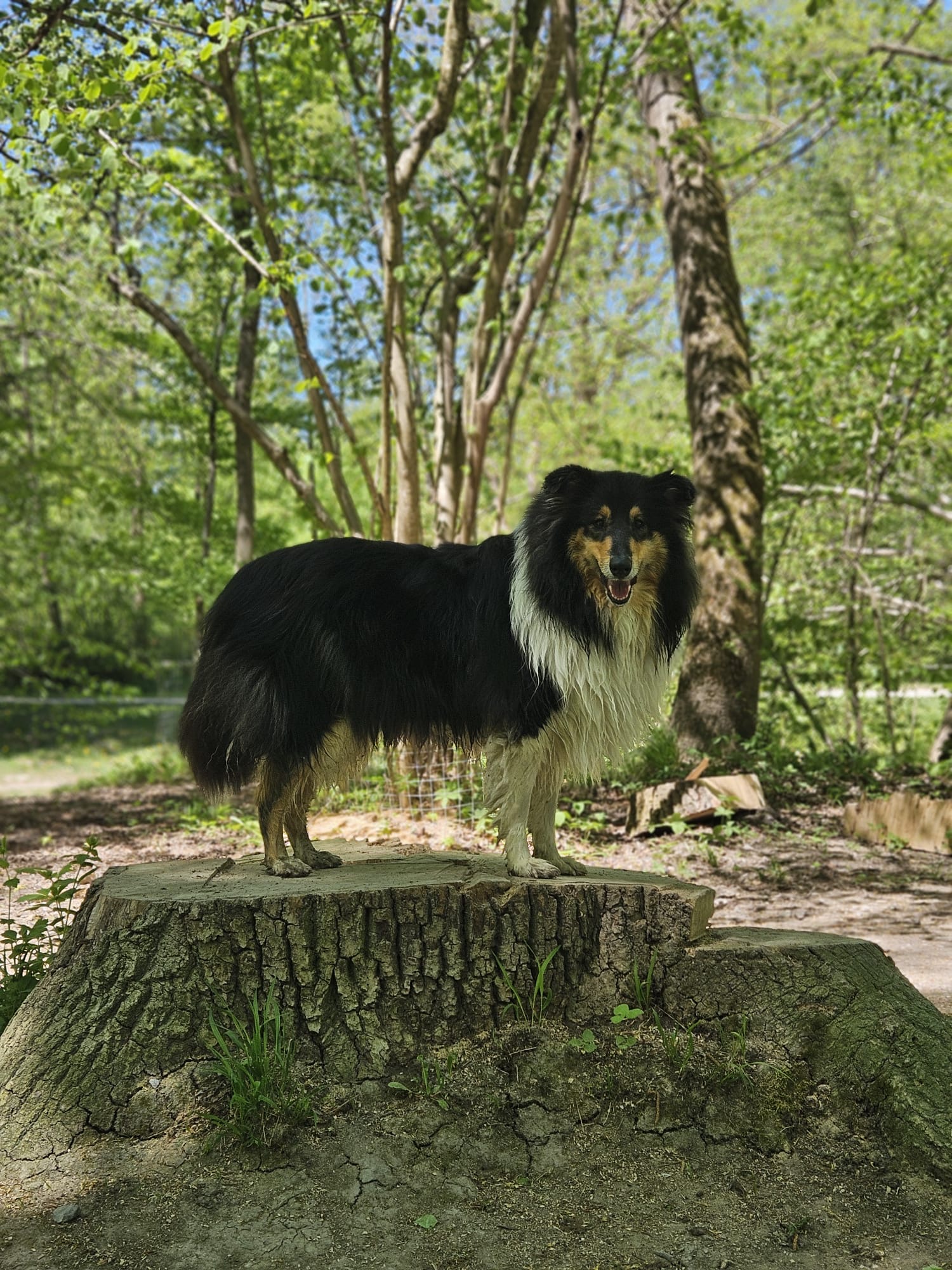 Maja mit 3 Jahren 