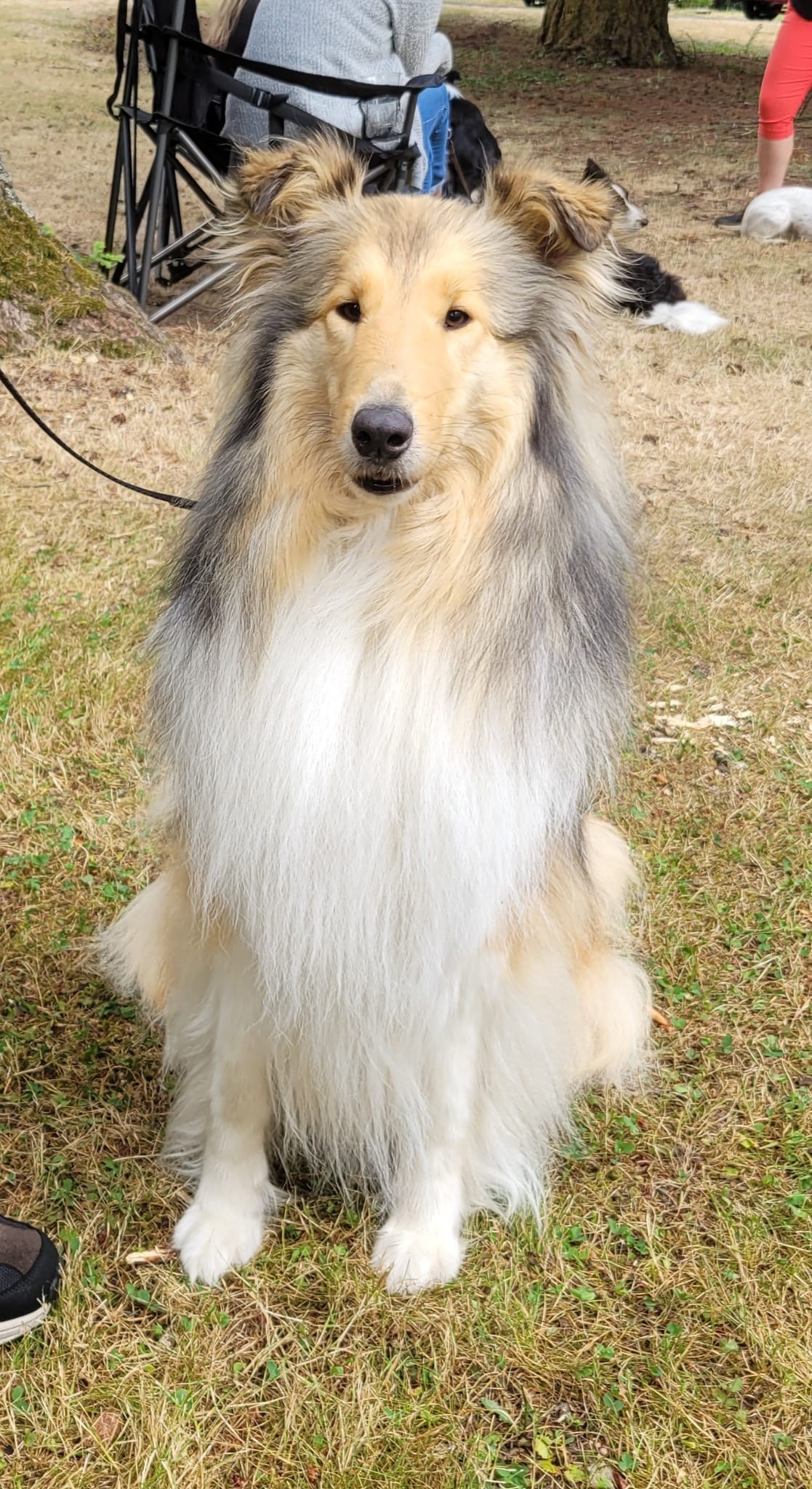 Katie mit 4 Jahren 