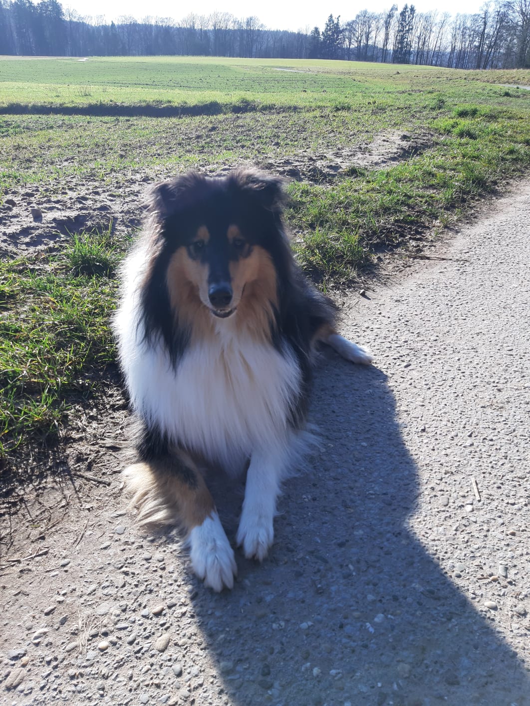 Ernie mit ca. 9,5 Monaten