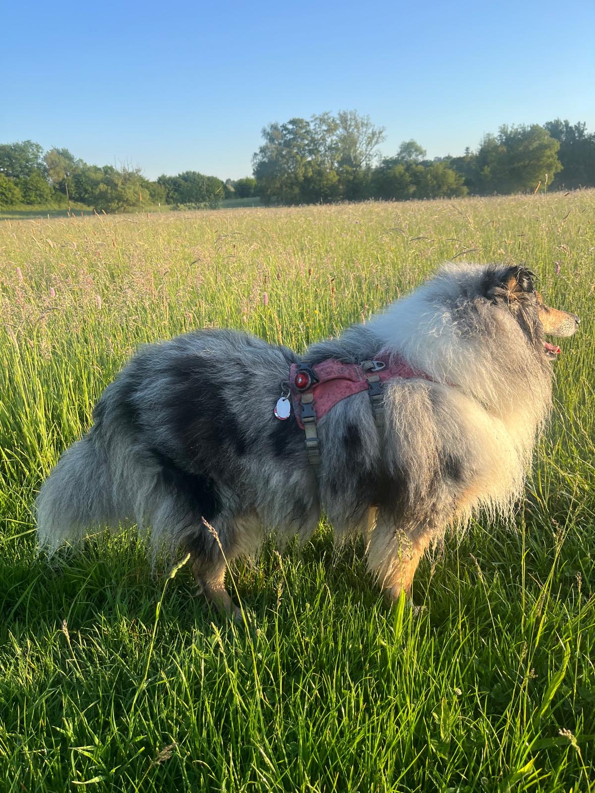 Jelena mit 4 Jahren 