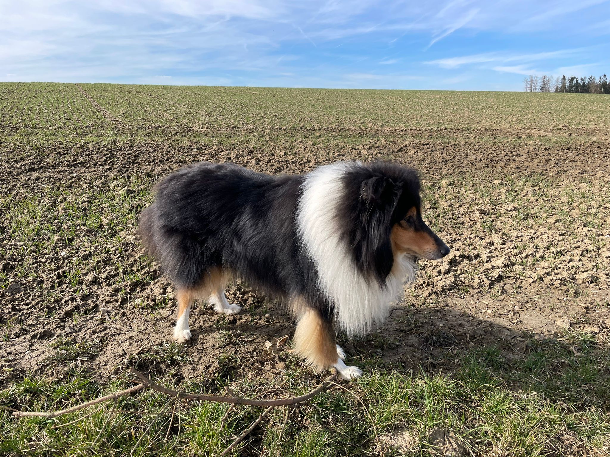 Ernie mit 4 Jahren 