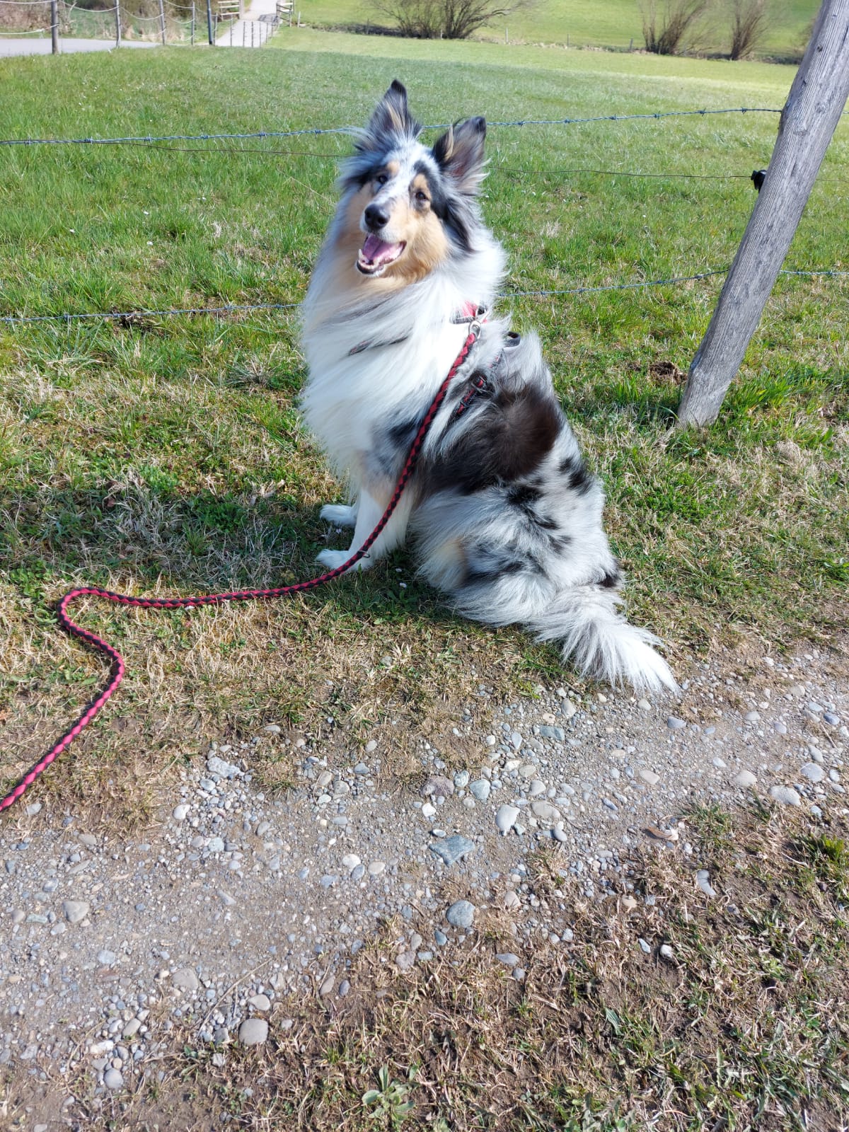 Conny mit 4 Jahren
