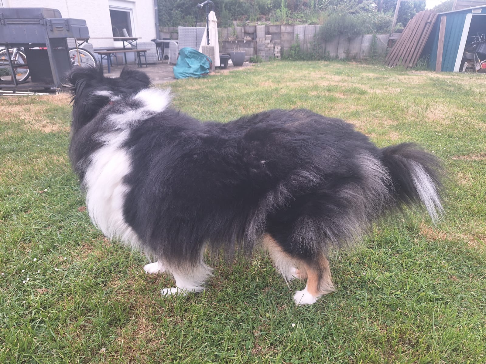 Jessi mit 3 Jahren 