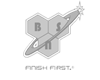 logo-bns