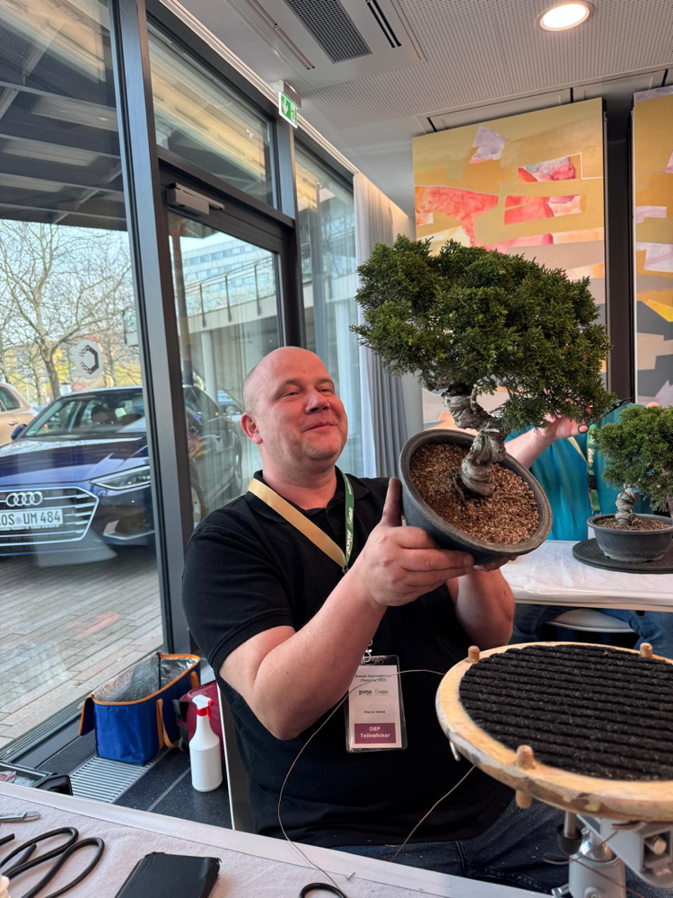 Deutscher Bonsai Preis  - Bonsai Arbeitskreis Steinfurt
