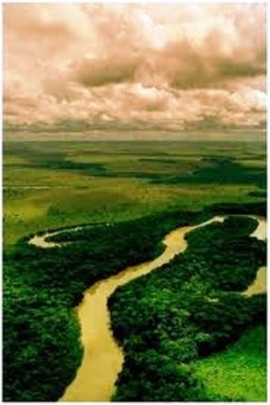 Arauca-provinsen