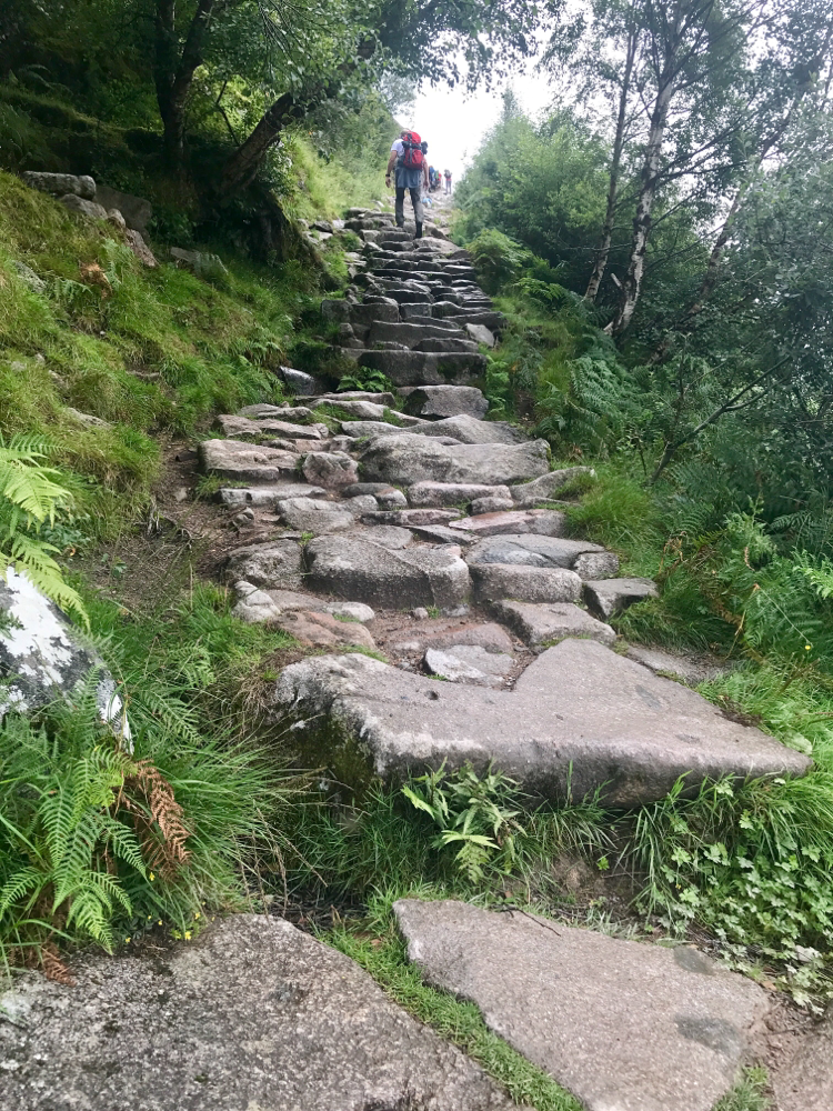 Ein Stück Ben Nevis (höchster Berg Schottlands) erwandert. 1.345 m ist er hoch......wir sind irgendwann umgekehrt ;)