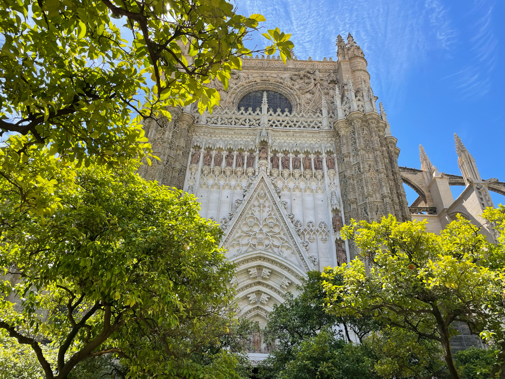 Die Cathedrale