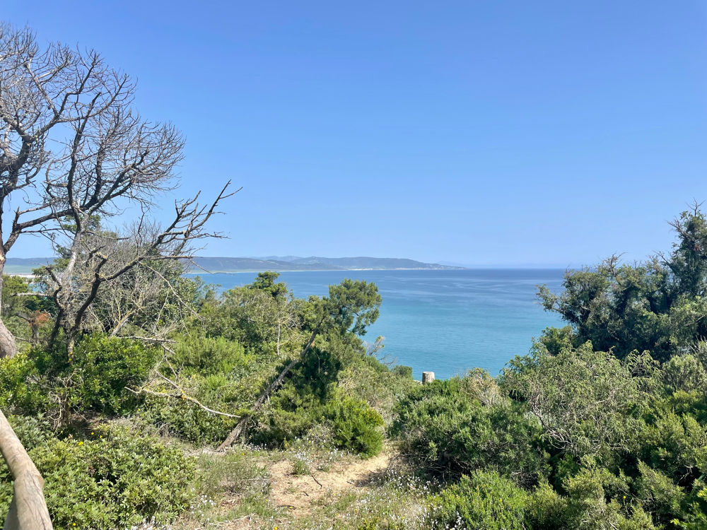 Aussicht vom Torre de Tajo