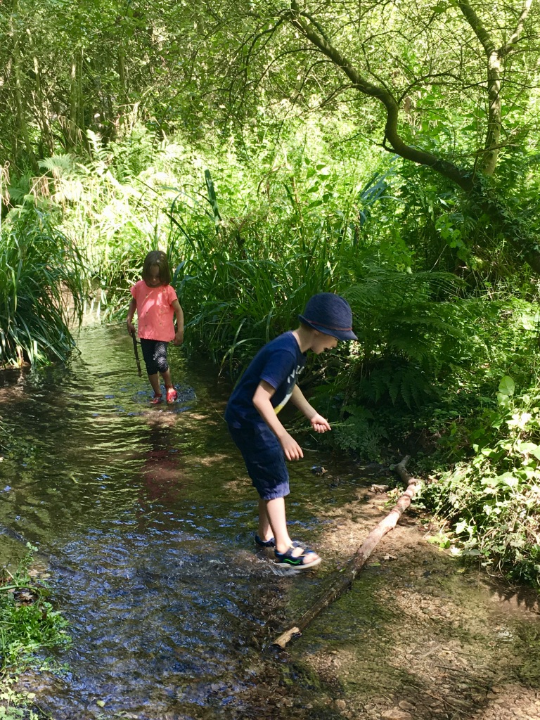 St. Catherine's Wood