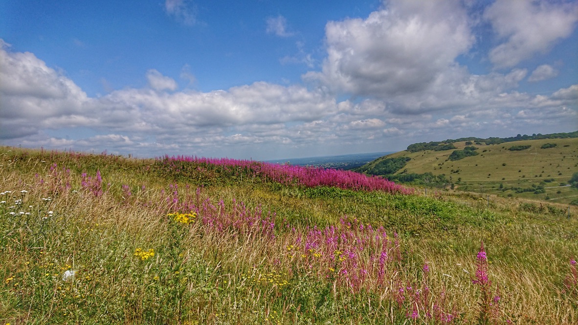 The Devils Dyke