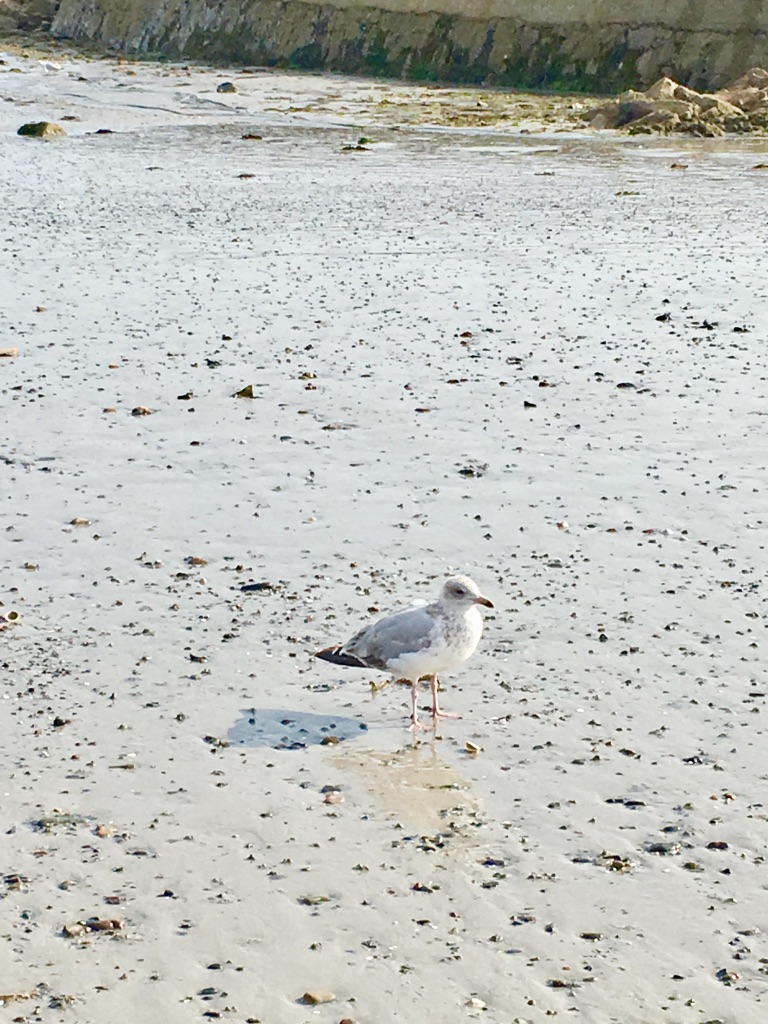 Tide at the beach
