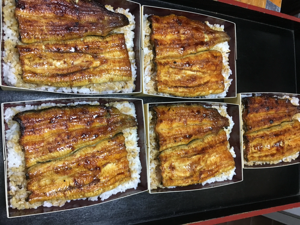 Takeout 専用うなぎ弁当