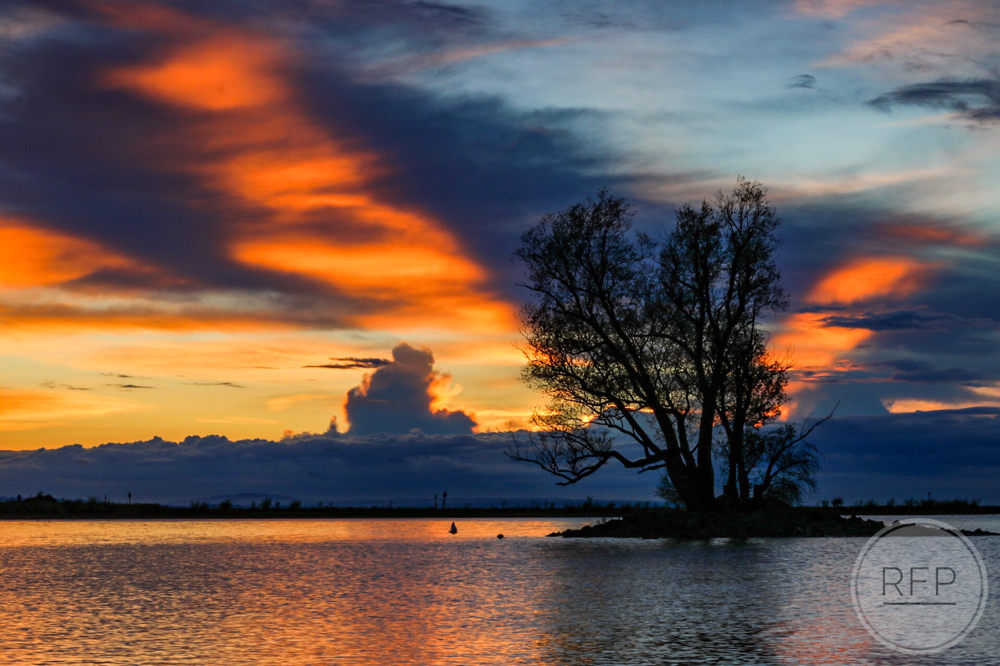 Rheinspitz, Bodensee