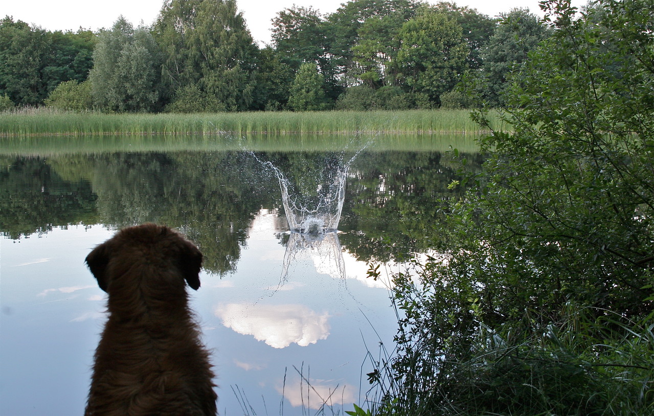 Fotos aus dem Sommer 2011