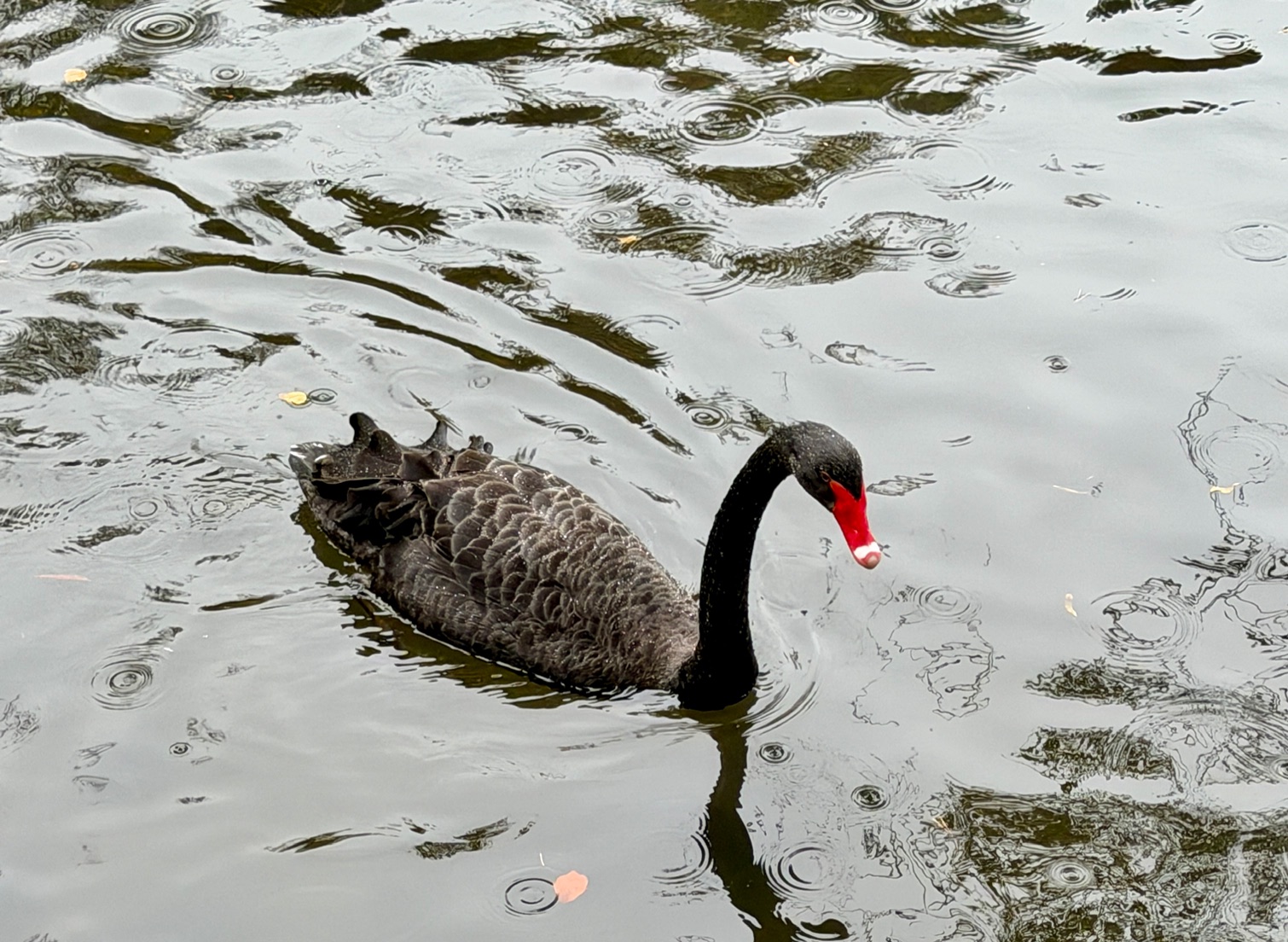 AT/HU turisztikai helyzetkép - 2025. november