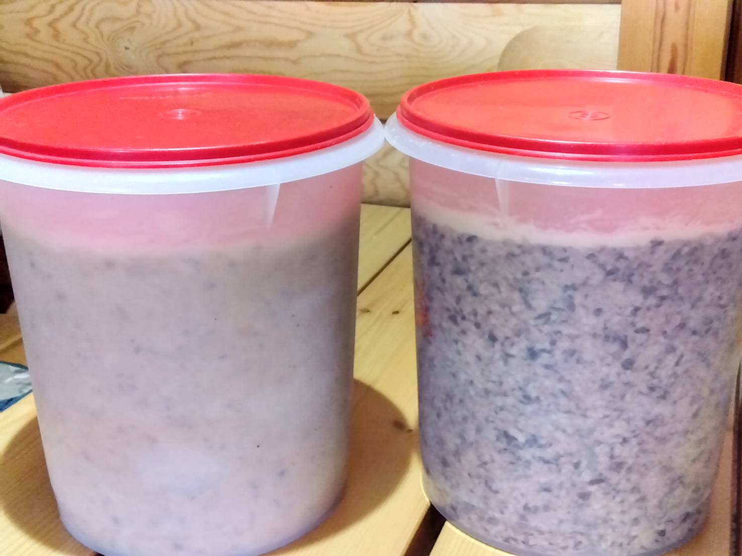 白大豆(左)と黒大豆の味噌出来上がり