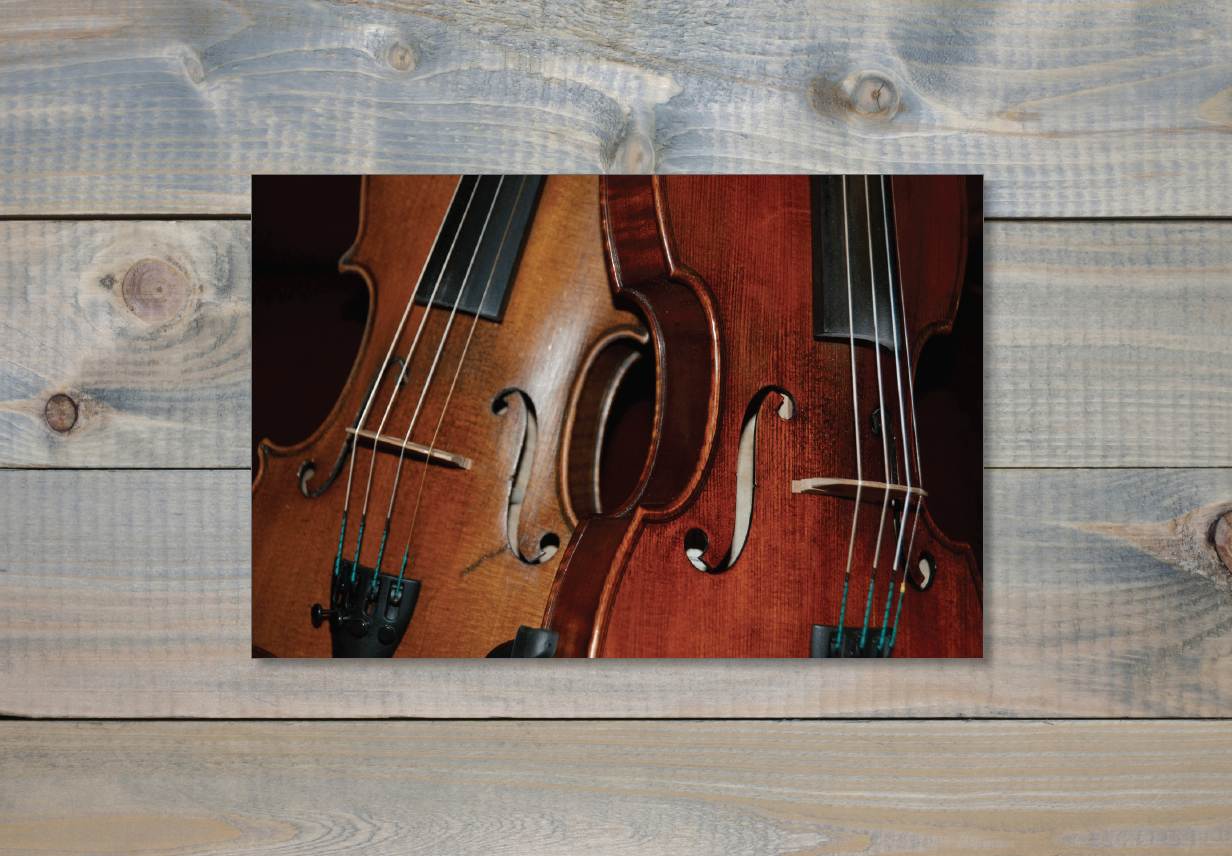 Fiddle Lessons Ellen Carlson, Fiddler