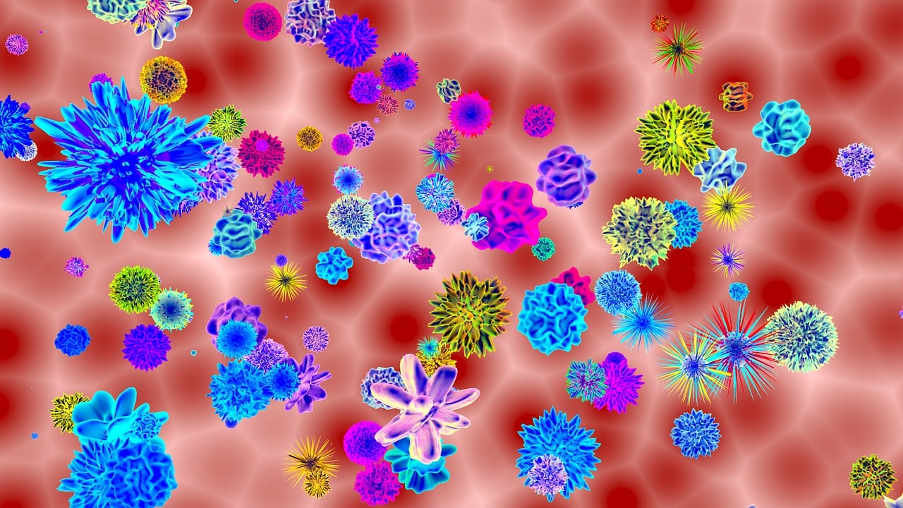 Anticubanviruset: en plåga i Sverige