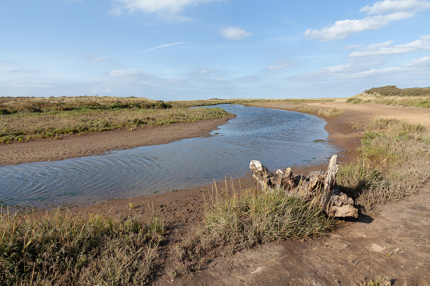 England 2018 (Holme Dunes, Norfolk)