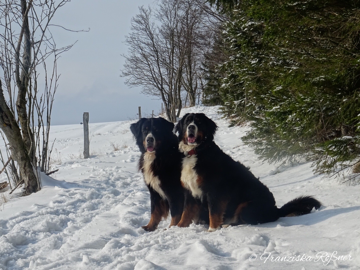 Winterspaziergang im Erzgebirge