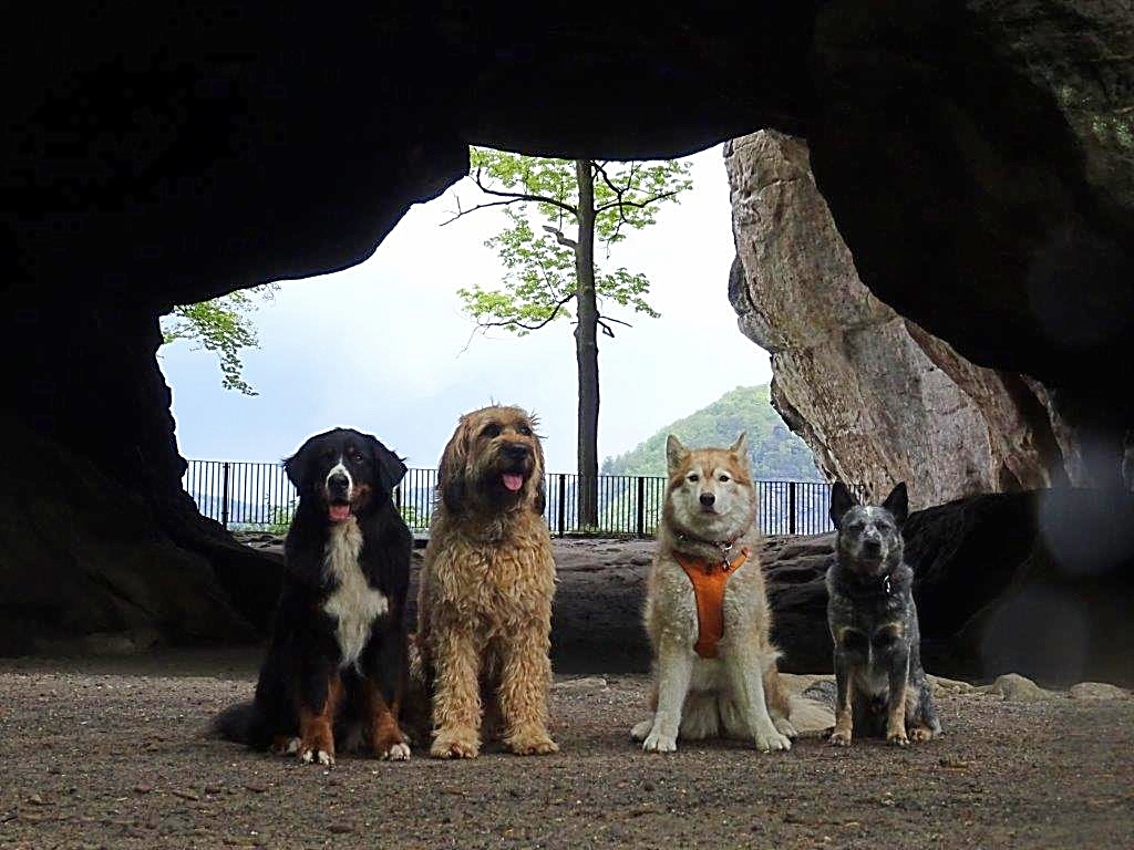 Wander und Campingwochenende im Elbsandsteingebirge bergwandernmit