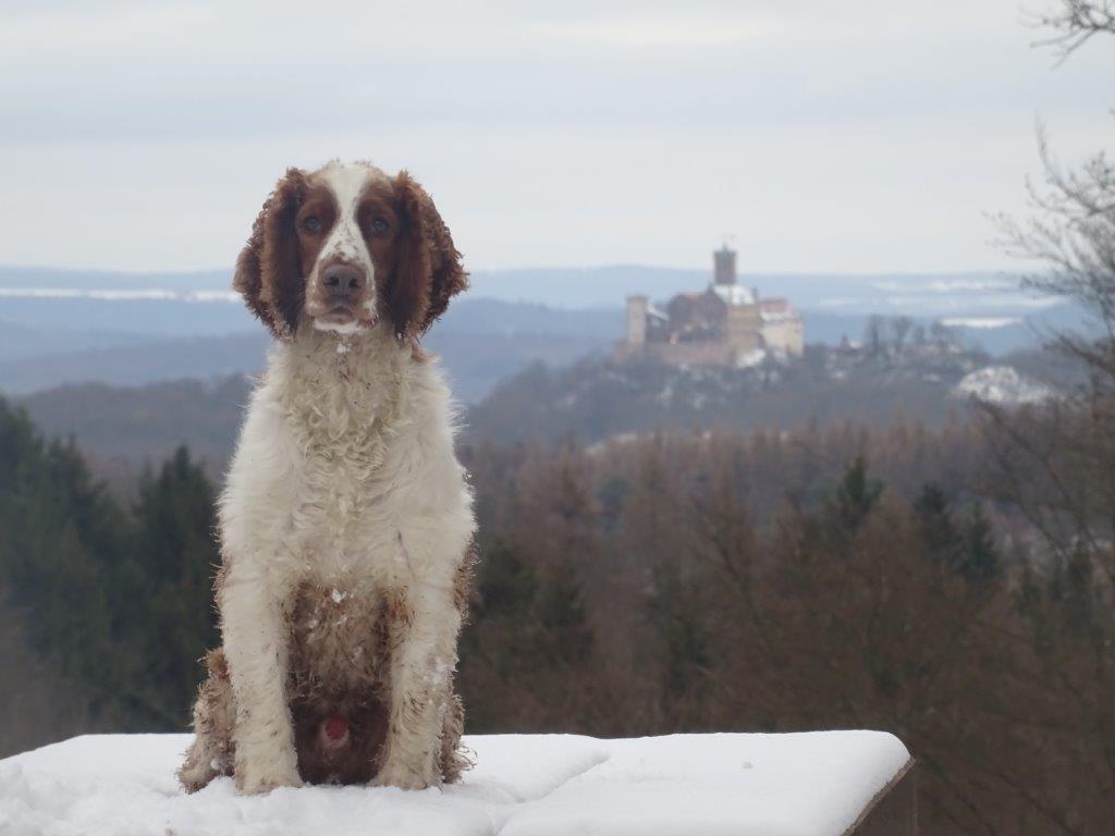 Adventswanderung mit den DAV Kraxelpfoten