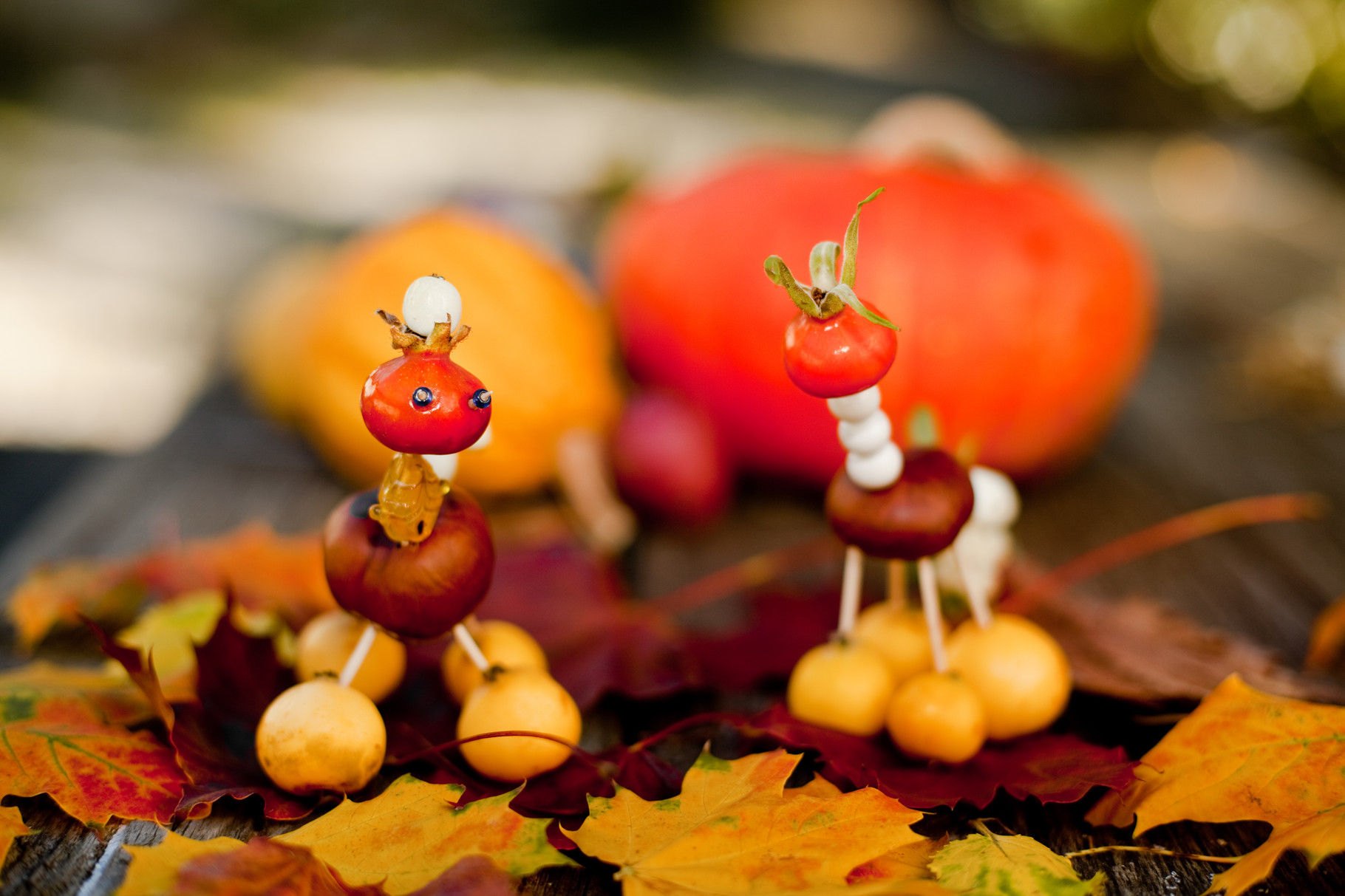 Herbst-Knallerbsen