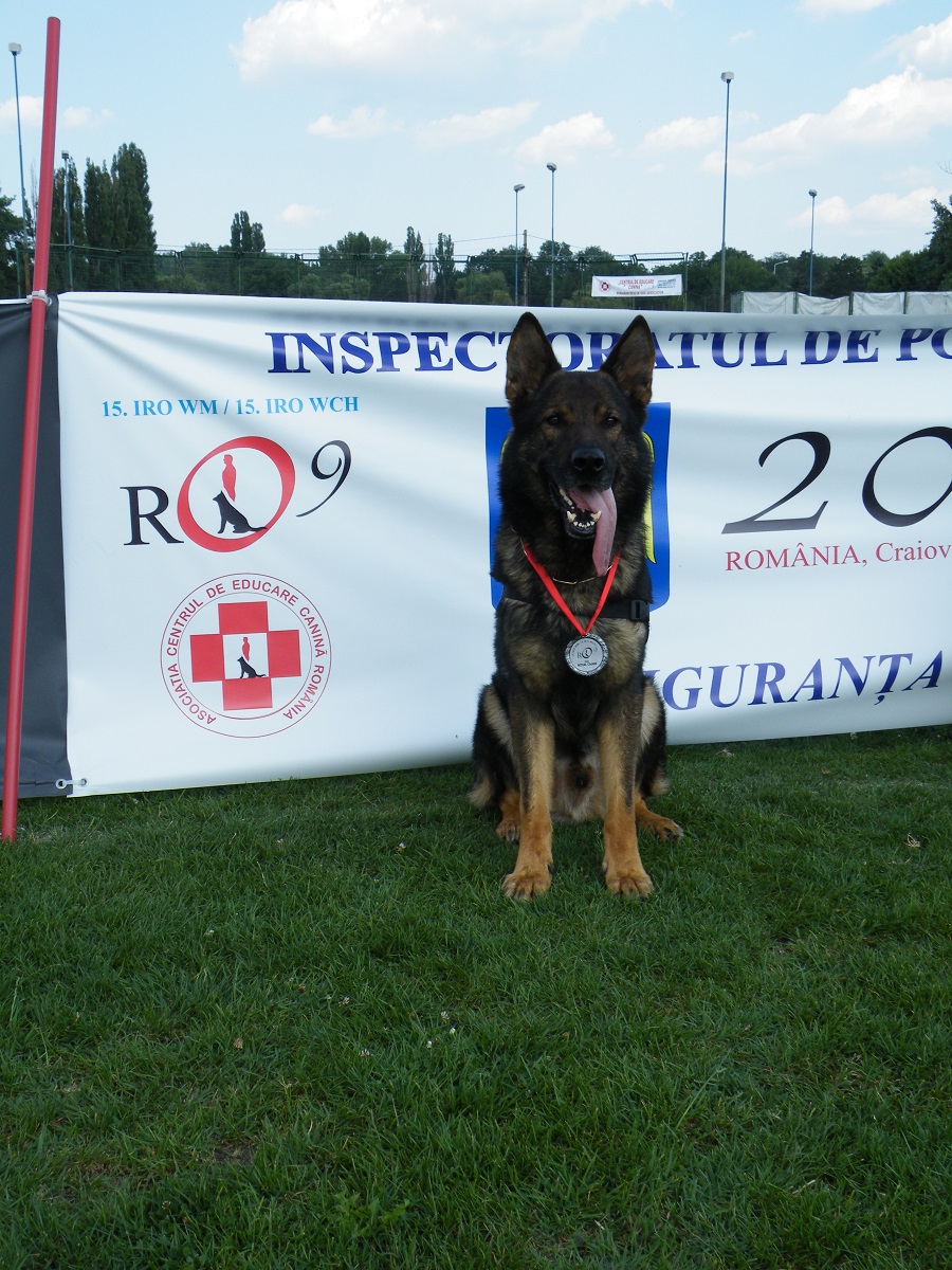 Alfons, IRO WM 2009; Rumänien