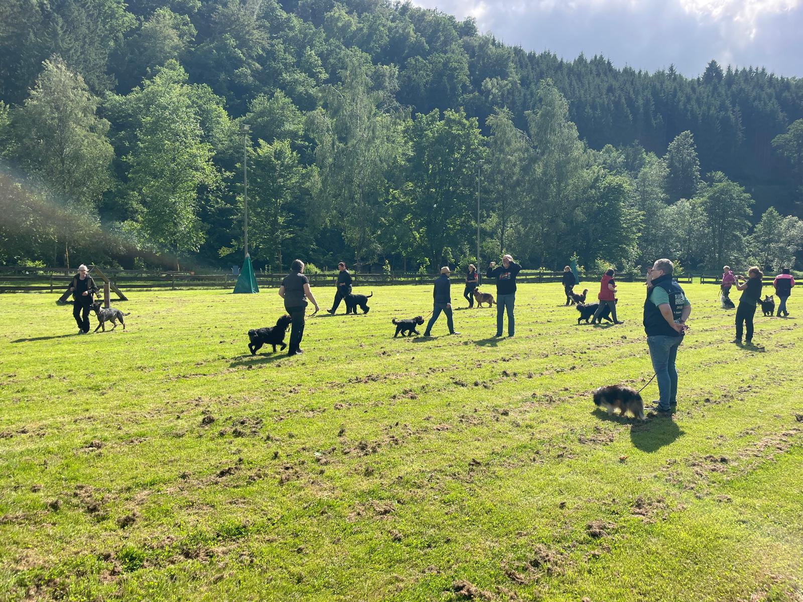 Und etwas Gruppenarbeit