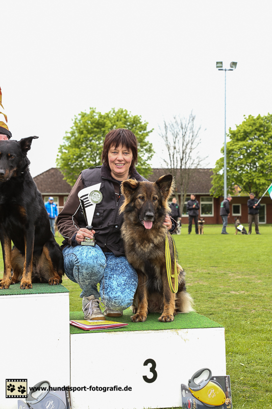 Ilwie, 3. Platz RHDM 2014 Fläche