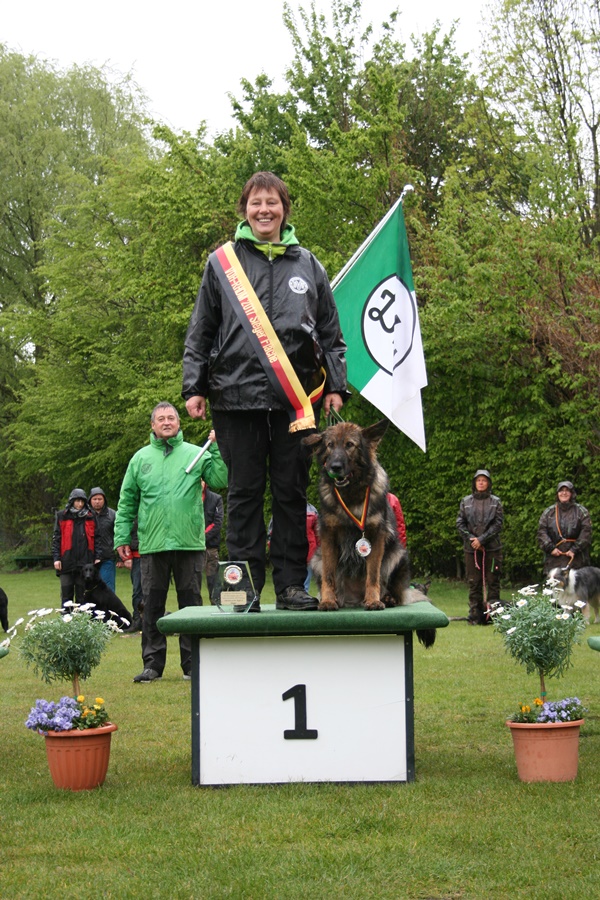 Ilwie, Deutscher Meister 2017 Fläche
