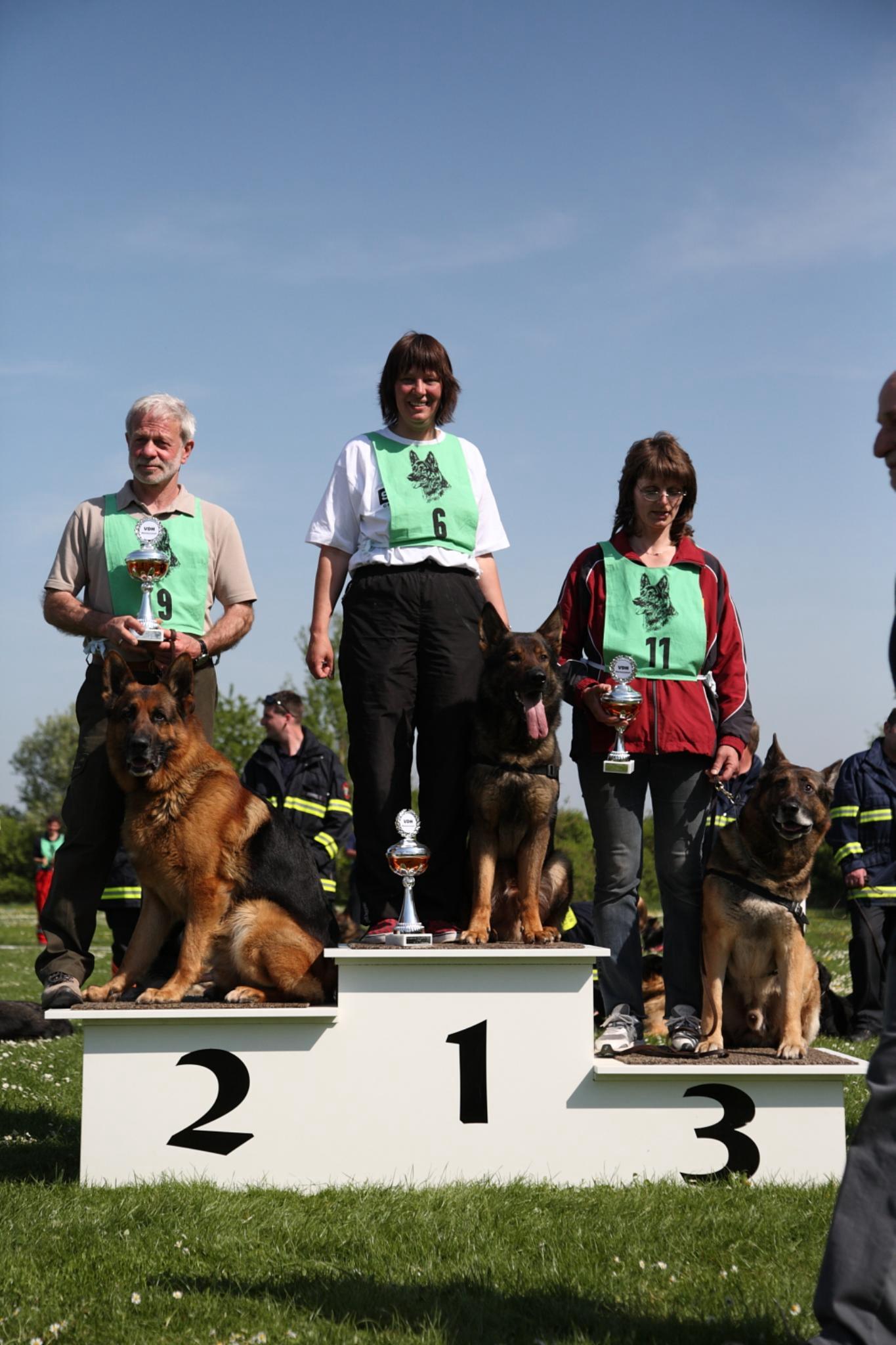 Alfons, Deutscher Meister 2009 Fährte