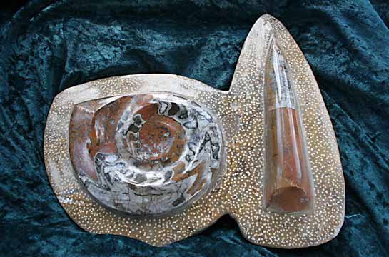 Ammonit und Tintenfisch, geschliffen, poliert