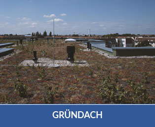 Teaser: Gründach