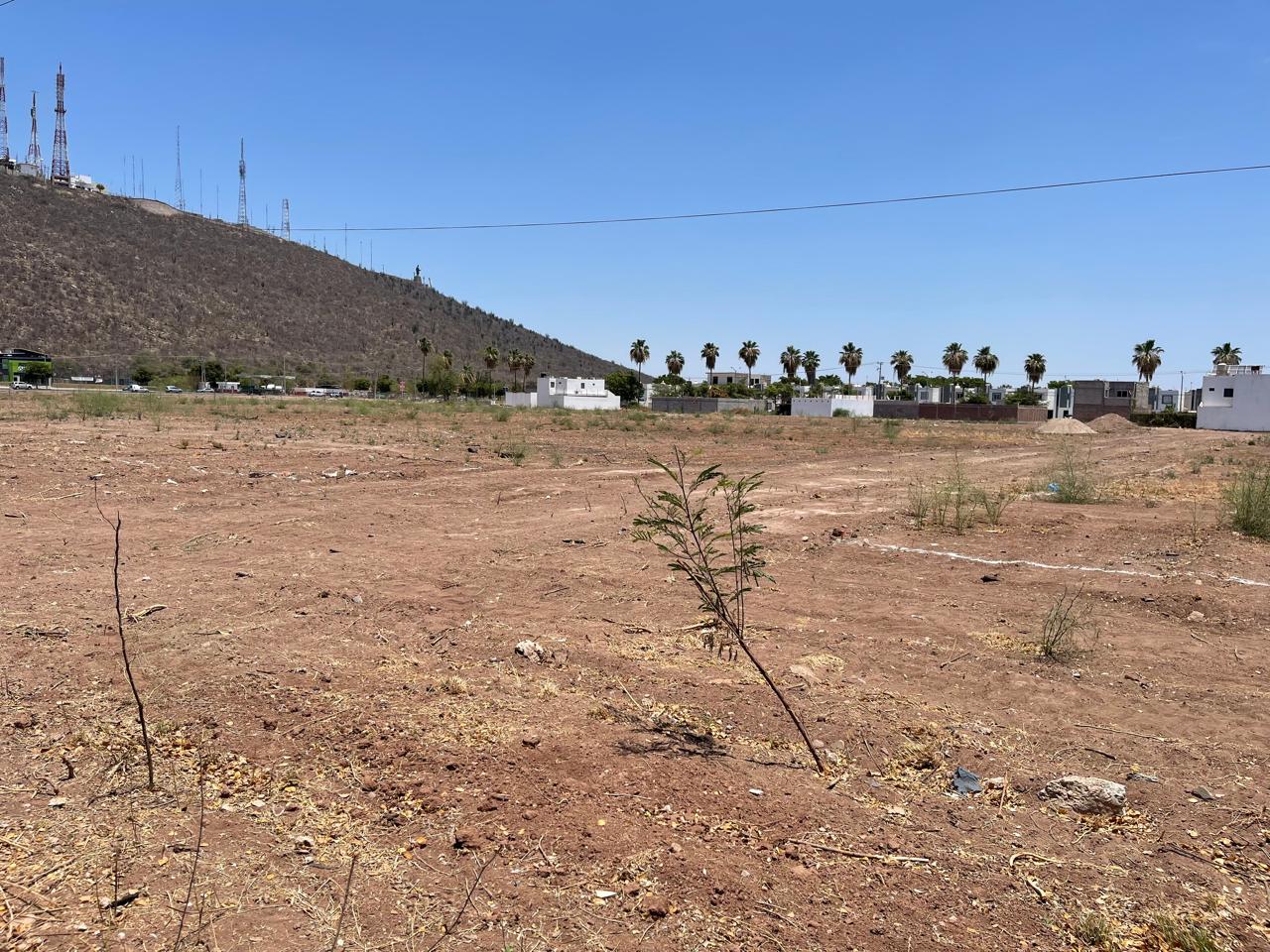 LOTES EN VENTA LOS MOCHIS- MANANTIAL FRACC