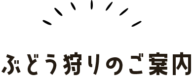 ぶどう狩りのご案内