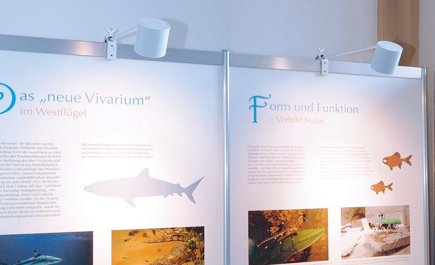 Displayleuchten - LeuchtenProfi24 - Wir machen Licht!