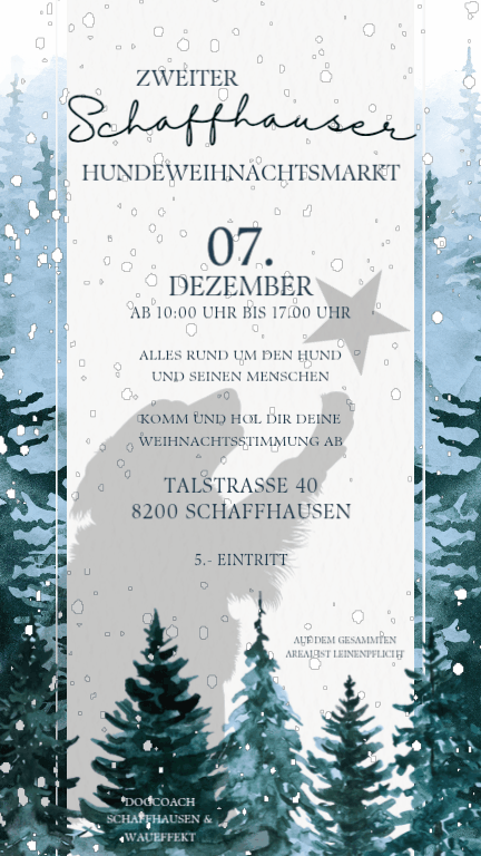 Weihnachtsmarkt 2025