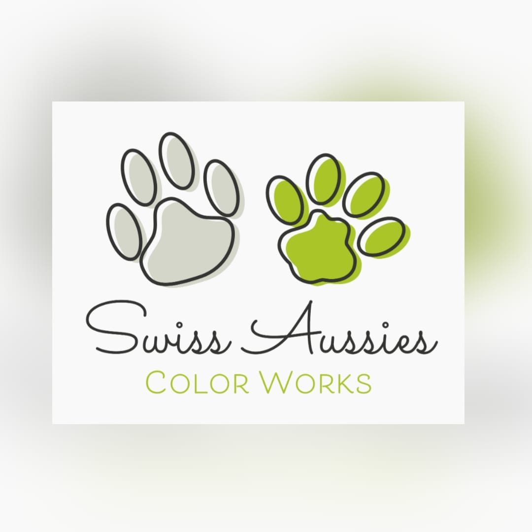 Swiss Aussies Color Works am Hundeweihnachtsmarkt 2025