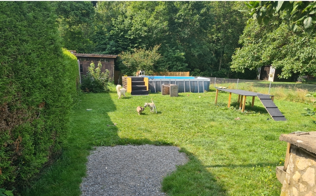 Unser Hundepool mit Hunderampeneinstieg und unsere Hundeplattform 