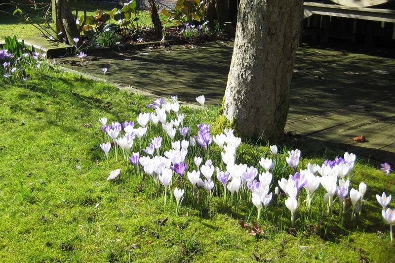 Frühling