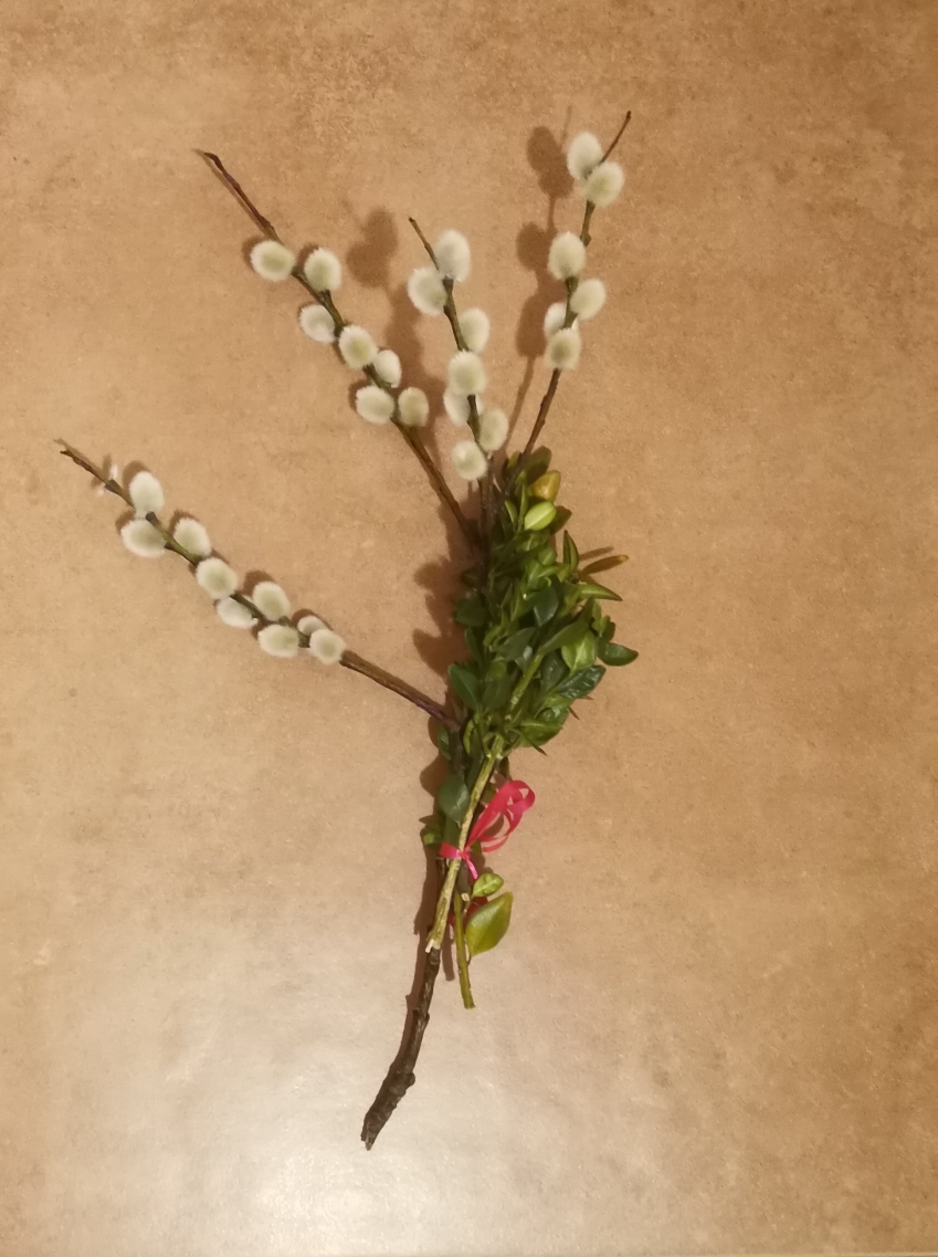 Palmsonntag - der Jubel der Menge und der Vorausblick auf die Passion: Um Beides wusste Jesus an seinem Palmsonntag. Wir folgen ihm.