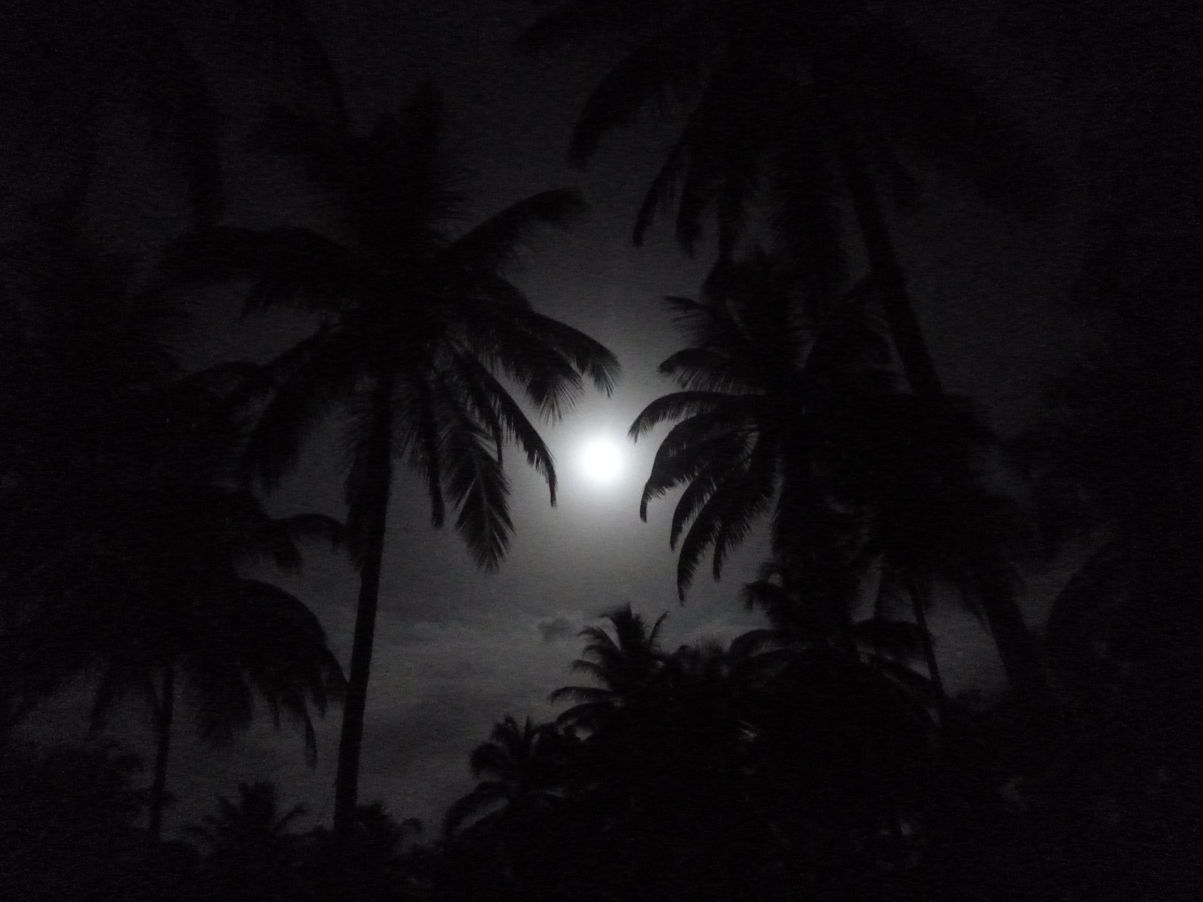 Vollmond überm Strand