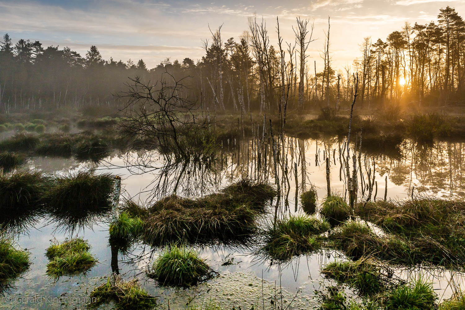 PfrungerBurgweiler Ried Gerald Kindermann Naturfotografie