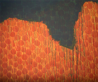 Sonne bescheint den Fels | 130x155 | 2009