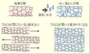 ウールの特徴